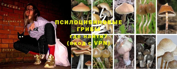 PSILOCYBIN Волоколамск