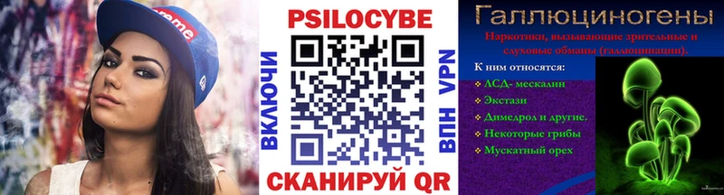 Купить где  Саратов  Псилоцибиновые грибы Psilocybe 